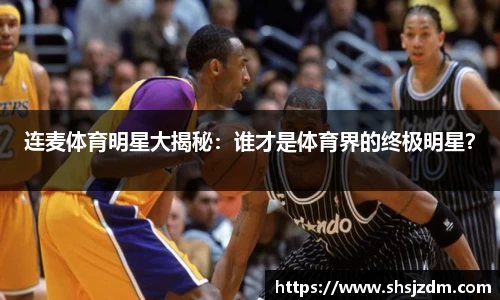 3377体育官网入口