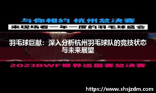 羽毛球巨献：深入分析杭州羽毛球队的竞技状态与未来展望