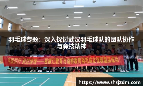 3377体育官网登录