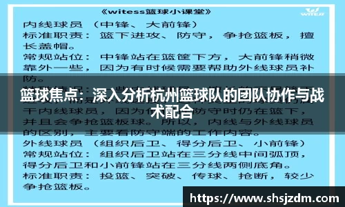 篮球焦点：深入分析杭州篮球队的团队协作与战术配合