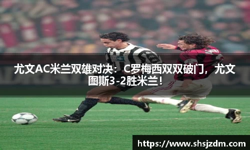 3377体育官网入口