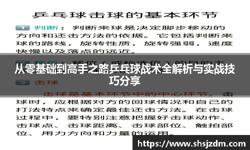 从零基础到高手之路乒乓球战术全解析与实战技巧分享